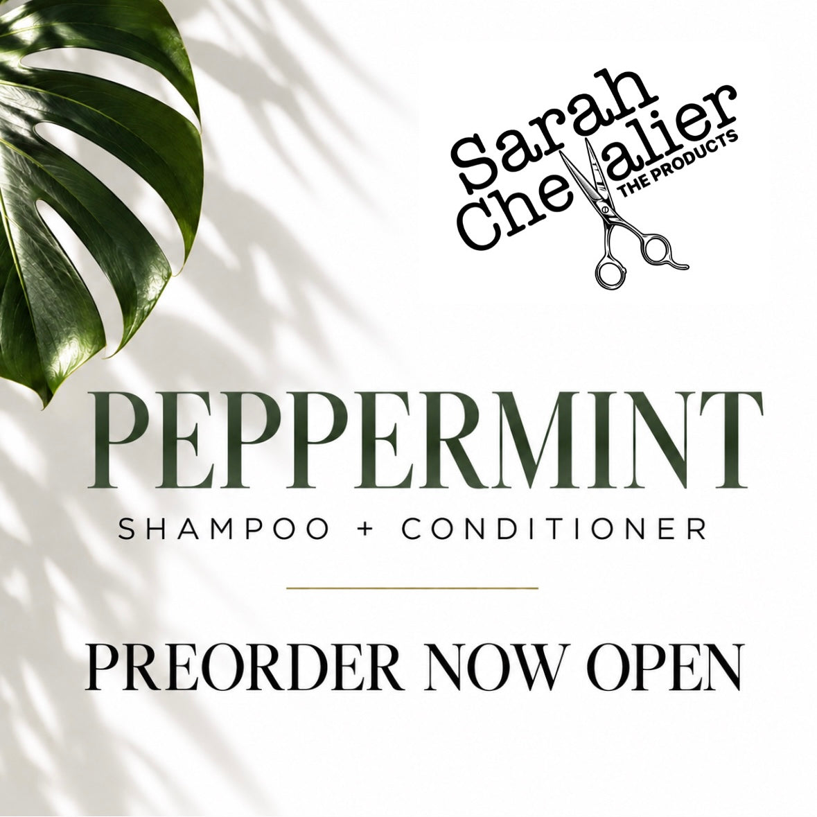 PREORDER PEPPERMINT