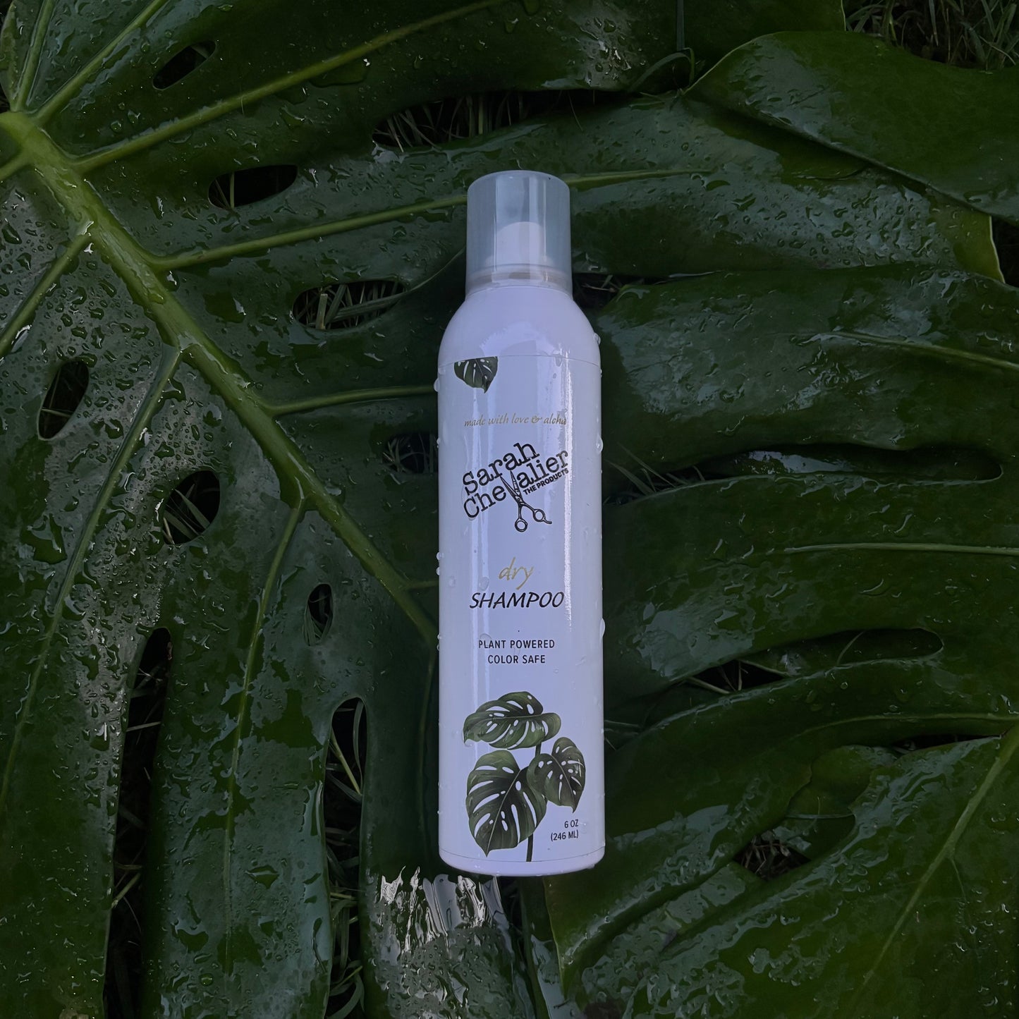 Dry Shampoo