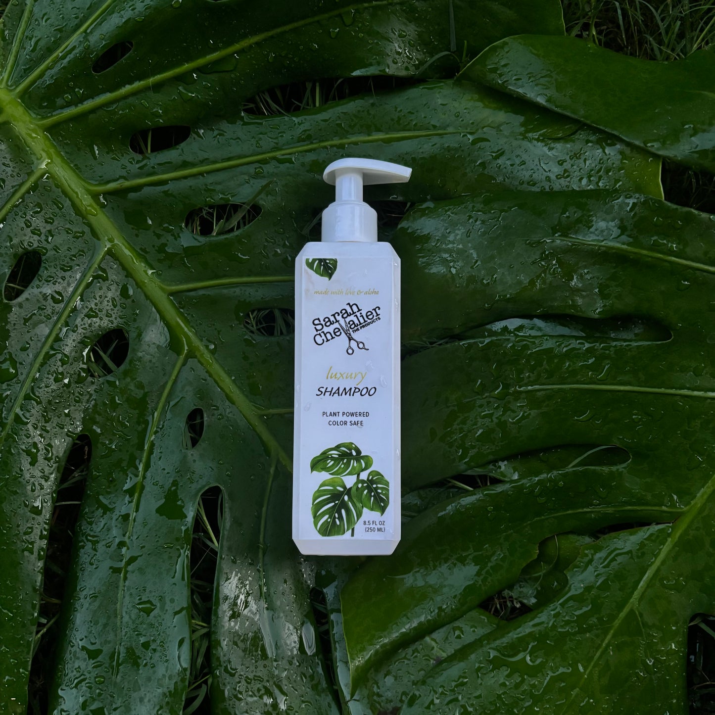 Luxury Shampoo